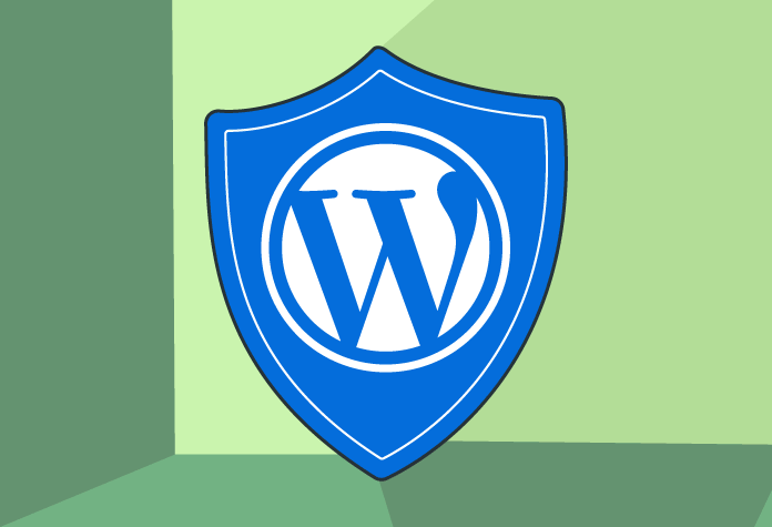 Secure Your Wordpress Website Without Plugins